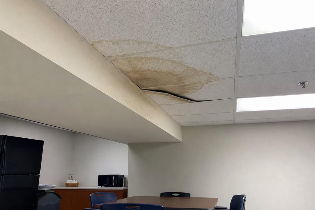 Commercial Water Damage Repair photo