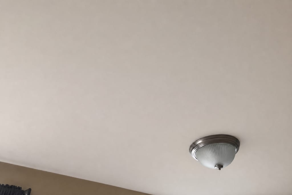 Popcorn Ceiling Removal photo
